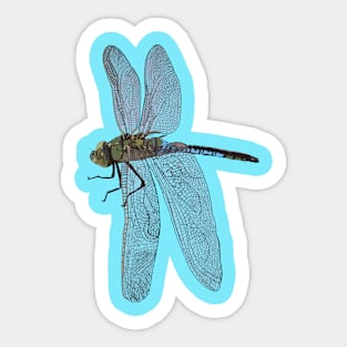 Dragonfly Sticker